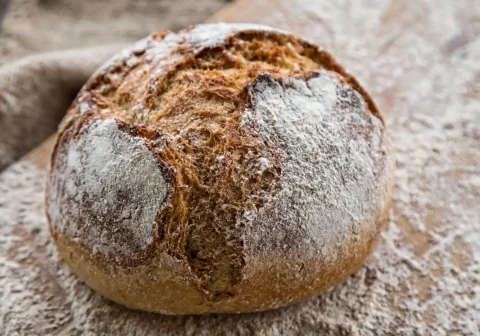 Organic Rustic Bread